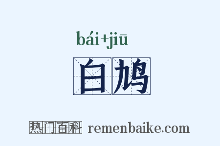 白鸠是什么意思的图片